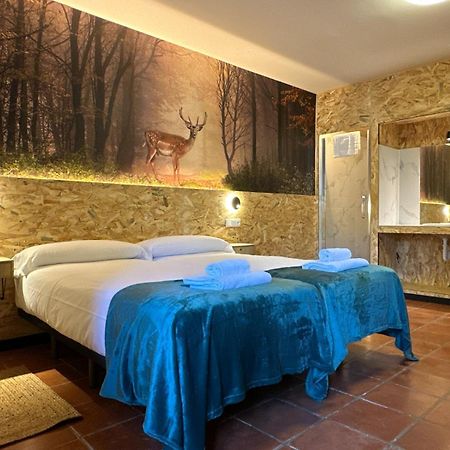 Hotel Y Albergue Real Fabrica De إيزكاراي المظهر الخارجي الصورة